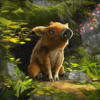 Adorable Adventures