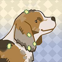 Bubble Dog