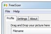 FreeSizer Portable (32 bit)