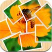 Pictify Photo Collage for iPad