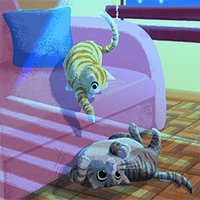 Roll The Cat